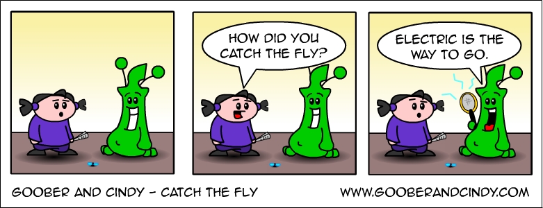 Catch the fly