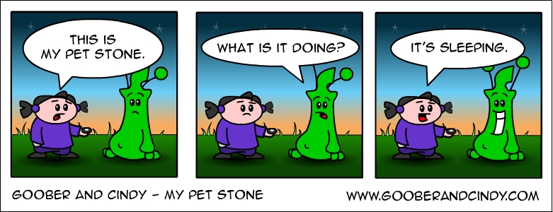 My pet stone